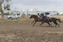  بالصور: مدينة اللد تستضيف سباق للخيول للمرة الثانية 